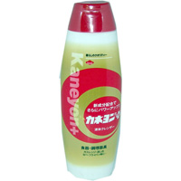 ���ͥ� ���ͥ��ץ饹