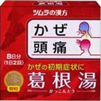 �뺬�򥨥�����γ