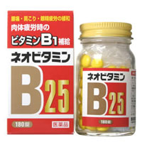 �ͥ��ӥ��ߥ�B25