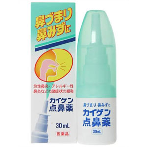 カイゲン点鼻薬（白・緑キャップ）30ml 