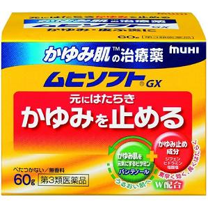 かゆみ肌の治療薬 ムヒソフトGX 60g