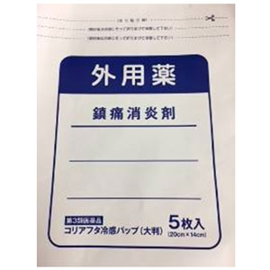 コリアフタ冷感パップ 大判 5枚入