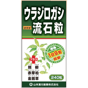 山本漢方 ウラジロガシ流石粒 240粒