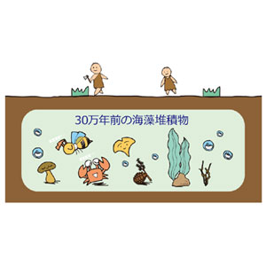 カタライザーミストスプレー