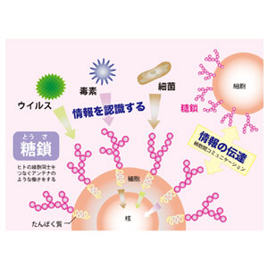 カタライザーミストスプレー